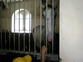 SANY0029.JPG