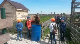 20170602_113922.jpg