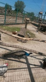 20170602_113530.jpg