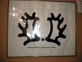 SANY0057.JPG