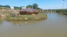 20170602_113142.jpg