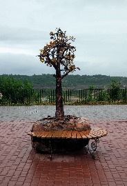 IMG_20180703_133510.jpg