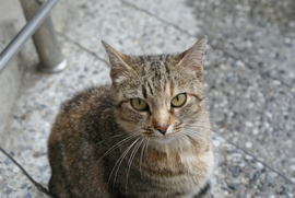 DSC06756.JPG