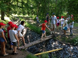 IMG_2881.jpg