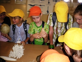 SANY0030.JPG