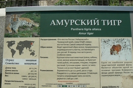P1410826.JPG