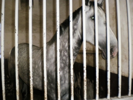 SANY0031.JPG