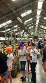 IMG_20180609_115410.jpg
