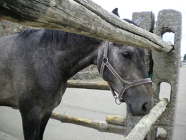 SANY0047.JPG