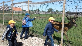 20170602_111758.jpg