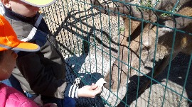 20170602_111057.jpg