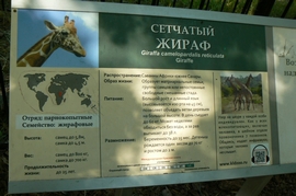 P1410786.JPG