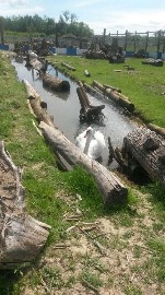 20170602_114753.jpg