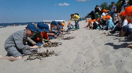 20170606_112427.jpg