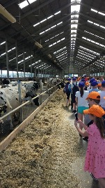 IMG_20180609_111316.jpg