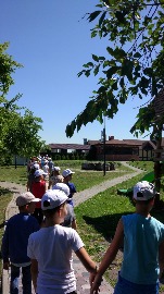 IMG_20180705_110400.jpg