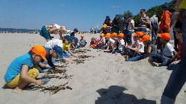 20170606_111528.jpg