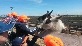 20170602_113045.jpg