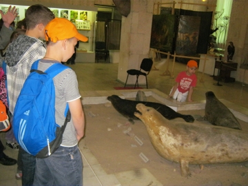 IMG_2473.JPG