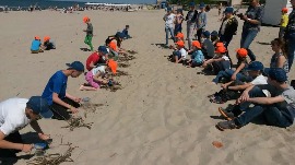 20170606_112935.jpg