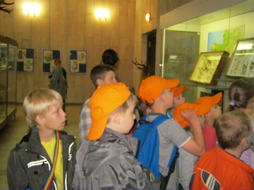 IMG_2401.JPG