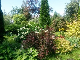 20160705_105956.jpg