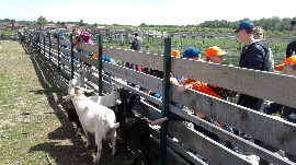 20170602_113834.jpg