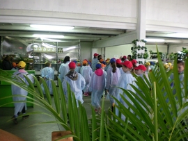 SANY0074.JPG
