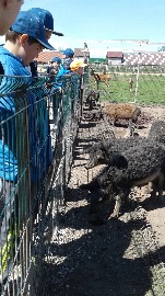 20170602_111524.jpg
