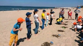 20170606_110958.jpg