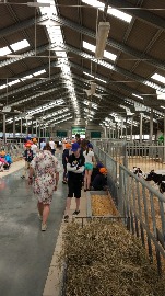 IMG_20180609_114815.jpg