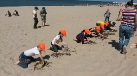 20170606_113701.jpg