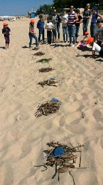 20170606_110735.jpg