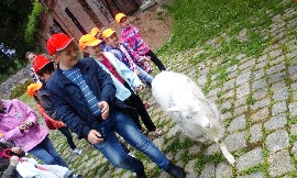20160617_124025.jpg