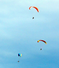 Шестрюк Арина, 14 лет; Up in the air