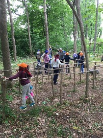 IMG_5638.jpg