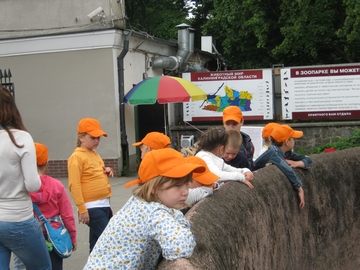 04.07 В зоопарке\IMG_2881.JPG