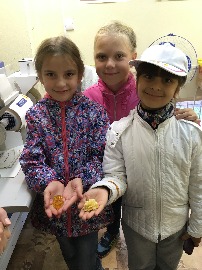 IMG_6554.JPG