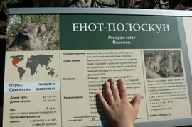 P1410741.JPG