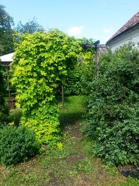 20160705_105908.jpg