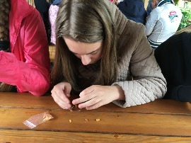 IMG_6531.JPG
