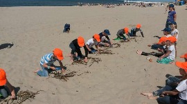 20170606_114554.jpg
