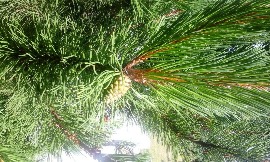 20160705_120639.jpg