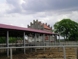 SANY0014.JPG