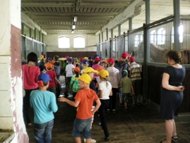 SANY0033.JPG