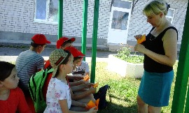 20160701_110845.jpg