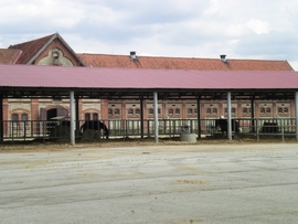 SANY0018.JPG