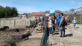 20170602_111711.jpg