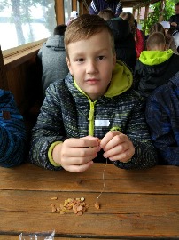 IMG_20180703_112515.jpg
