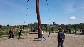 20170602_122240.jpg